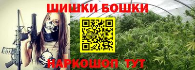сатива Тверь