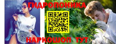 сатива Тверь