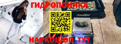 прущие крисы Тара