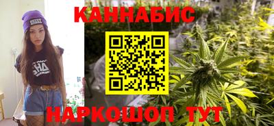 сатива Тверь